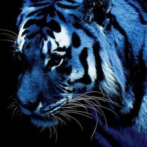 The Blue Tiger Review – A Literary Journal of the UM-SJTU Joint Institute